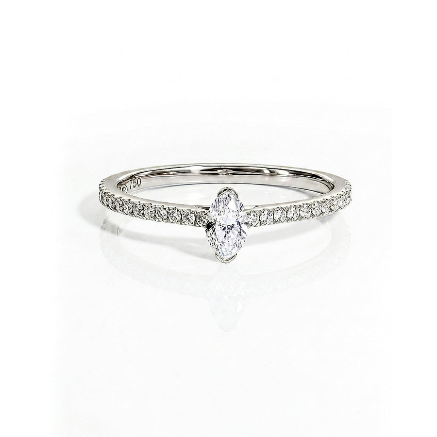 Solitaire Muse - Or Blanc Palladié