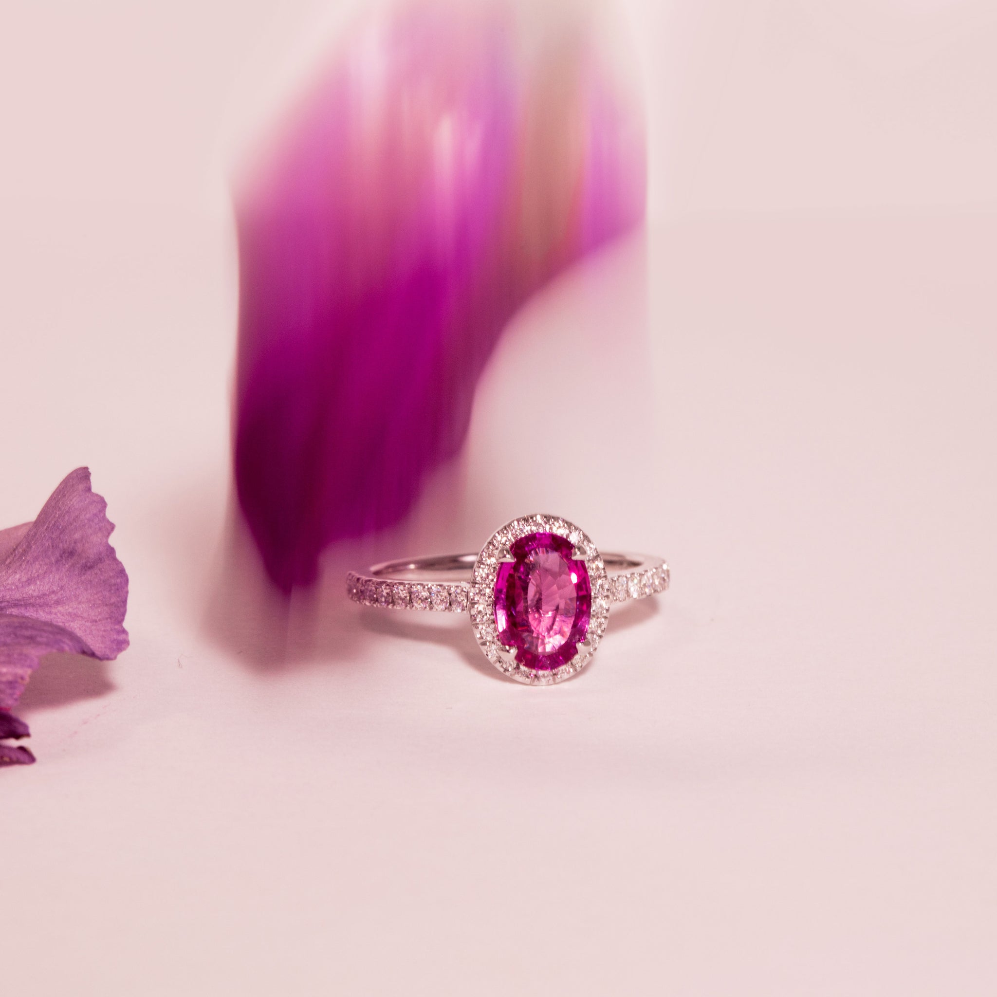 Photo ambiance d'une bague en saphir rose. Le demi pavage et le halo de diamants subliment l'éclat naturelle rosé de la pierre centrale.